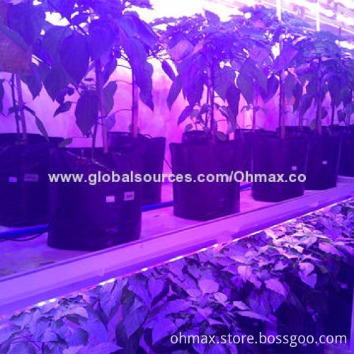 IP65 Waterproof LED Grow Light Bars with Plant Factory for Light Intensity and Spectrum Research